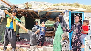 The hard daily life of the nomadic family of Farhanaz, a neighbor of Zulfa