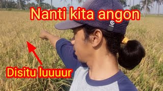 Survei lokasi angon