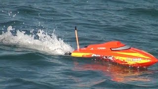 RC boat - Proboat Recoil 17