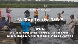 LIPBS TV - A Day in the Life