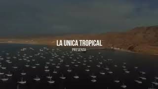 Si esta casa hablara unica tropical/ gerardo grande capo