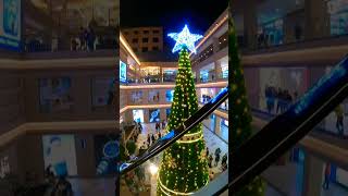 merry Christmas 🎄#shorts #shortvideo #christmas #christmastree #india #new #festival