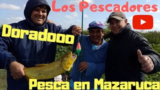 PESCA EN MAZARUCA-LOS 3(parte 2)#lospescadores #pesca #pescaenlaisla #riopavon #pescando