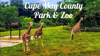 Cape May County Park & Zoo .. Free Admission