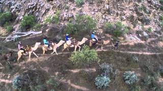 In the Gorge with Camel Treks Australia