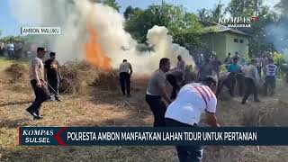 Polresta Ambon Manfaatkan Lahan Tidur untuk Pertanian