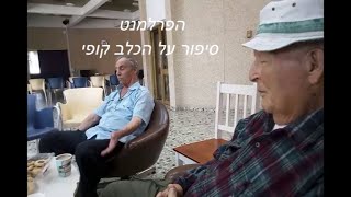 סיפור על הכלב קופי