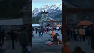 Sri Kedarnath Darshan 20th August 2023. #kedarnath #shiva #shiv #bholenath #shorts #short #trending