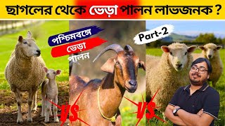 ছাগলের থেকে ভেড়া পালন লাভজনক.? পশ্চিমবঙ্গে ভেড়া পালন. sheep farming in West Bengal.lamp farming.