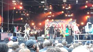 El Gatto Live @ Zomercarnaval Rotterdam 2011