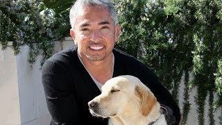 Emergência Canina; Cesar Millan