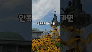 대한민국역사박물관을 포함해서 서울 토박이도 몰랐던 서울여행지 5곳 소개해드릴게요. 저장해두시고 꼭 다녀와보세요.#대한민국역사박물관 #홍제천폭포마당 ##정동전망대 #서울가볼만한곳