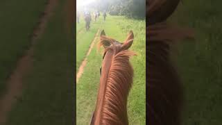 Fun trail ride! It was super pretty.