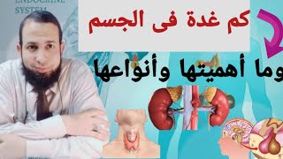 الغدد الصماء واهميتها وانواعها  #endocrinegland