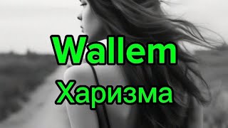 Wallem — Харизма #пип #клип #музыка #харизма #wallem #remix #remixmusic #2024