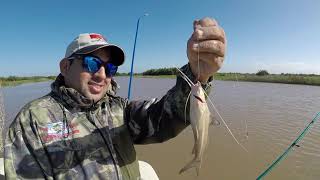 Pesca variada con @lacuevadelpescadorelpiquea28 // se pesco de todo!!!