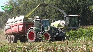 🇫🇷🌽ENSILAGE DE MAÏS 2019 | CLAAS JAGUAR 950