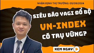 Chứng khoán hôm nay | Nhận định thị trường: Siêu bão Yagi đổ bộ, VN-INDEX có trụ vững?