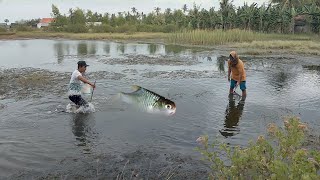 Viral,!! Menagkap Ikan Moster Air Tawar Penghuni Sungai Muara!!