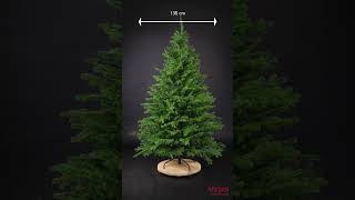 Świerk PREMIUM 100%PE 2,00m #christmastree