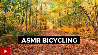 #125. ASMR Biking through the LEAVES on a COLD Autumn Day