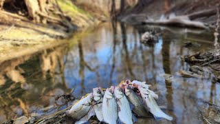 Pre-Spawn creek fishing for sandbass