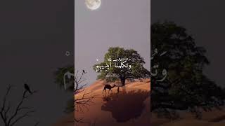 ((🌹اليوم نختم على افواههم وتكلمنا ايديهم🌹))بصوت جميل 😍