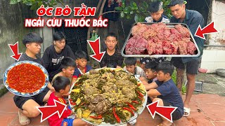 Hữu Bộ | Thử Thách Làm Mâm Óc Bò Khổng Lồ Tần Ngải Cứu Thuốc Bắc