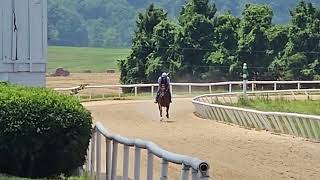 Lunar Lightning gallops in front of Crucial Secret (rail) and Spoils of War on 6/21.