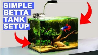 betta fish setup |my Betts fish tank setup in india|betta fish|tank setup|betta fish playing video