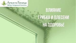 Влияние Бытовых Условий На Здоровье - Плесень, Грибок, Бытовая Химия