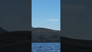 Bald eagle at lake New melones