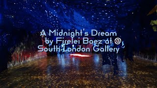 A Midnight's Dream by Firelei Báez at South London Gallery