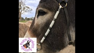 Beaded paracord cheek piece for a bridle (easy project )with snake knot.