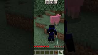 i got a pink sheep in mcpe