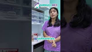 ¿Qué antipulgas debo elegir para mi mascota? - Animall Med  #veterinariaenvillaelsalvador #vetlife