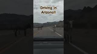 Driving in Arizona #shorts #driving #travel #roadtrip