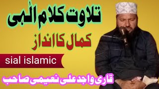 Tilawat Kalam e Elahi | Kamal ka Andaz | Qari wajid Ali naeemi sahb | Sial islamic