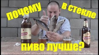 Пью пиво черниговского разлива с вяленой плотвой после самогона...