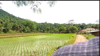 VLOG SUASANA JALAN DESA - KAMPUNG HALAMAN CIANJUR SELATAN