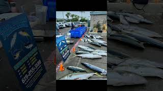 Independence Sportfishing return - from the docks to the shop - 07-17-21