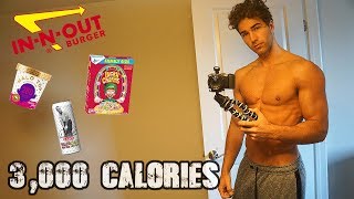 Nic Palladino | Full Day of Eating While Traveling (3,000 Calorie Cut)