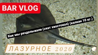 Лазурное 2020, Разделываем скат хвостокол, большой калкан 10 кг, BAR VLOG