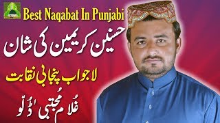 Best Naqabat In Punjabi - Mehfil E Milad E Mustafa