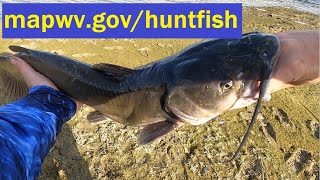 Free Resource To Catch More Fish In WV