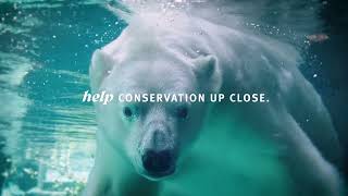 Get a Zoo Perspective on Conservation Commercial