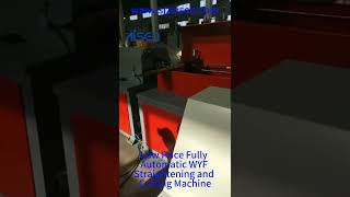 WYF straightening and cutting machine with strong innovation ability  for copper wire production