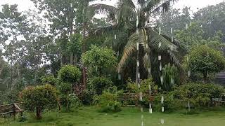 Rain in weekdays | Briefly but very heavily