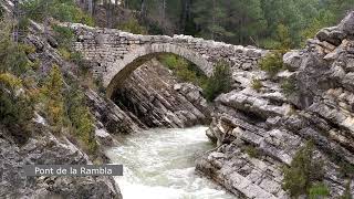 Portell : la natura en viu II