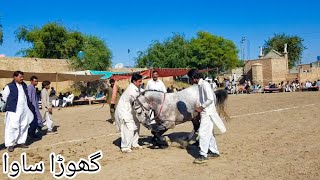 ghoda sava |horse dance mela ghulam shah